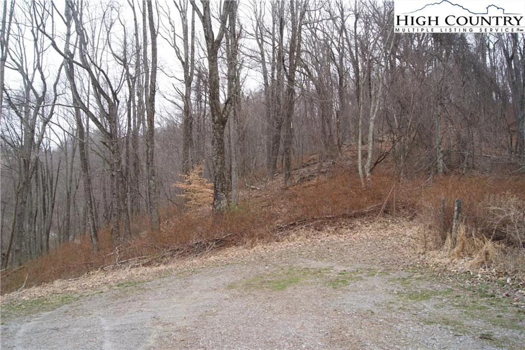 Image number 1 for the current listing