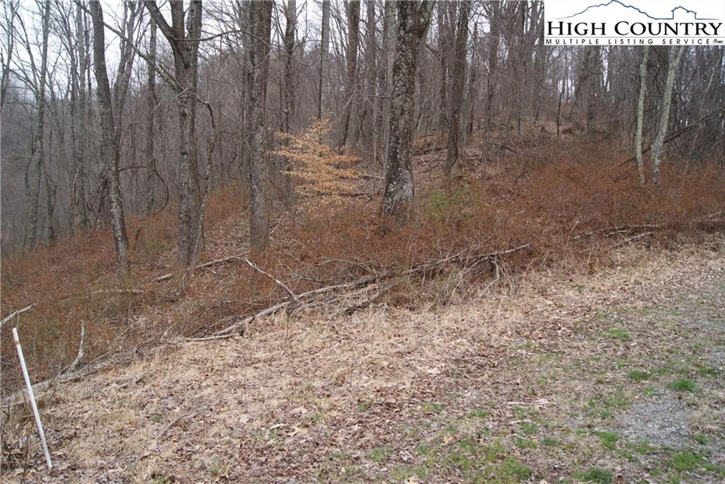 Image number 3 for the current listing