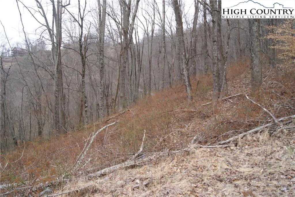 Image number 4 for the current listing