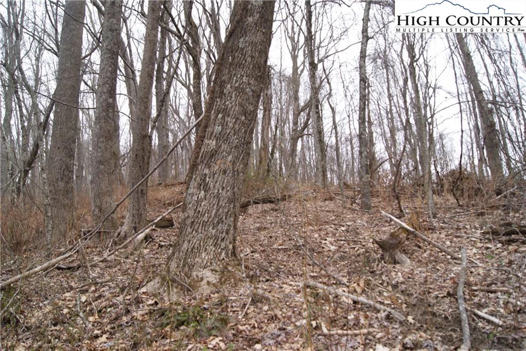Image number 5 for the current listing