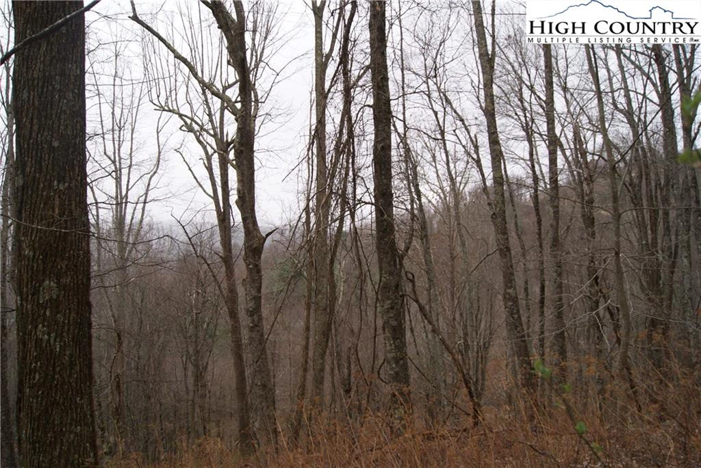 Image number 6 for the current listing
