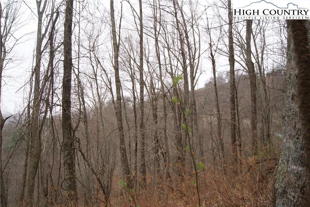 Image number 7 for the current listing