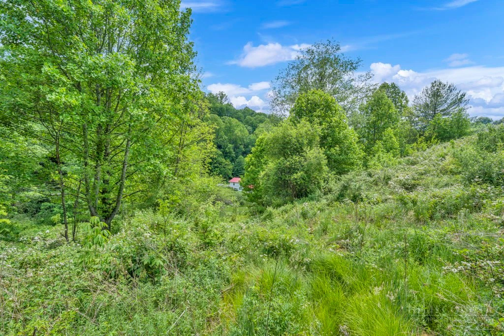 Image number 2 for the current listing