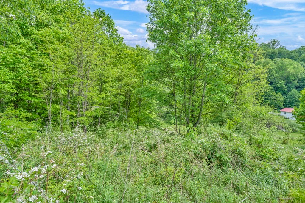 Image number 3 for the current listing