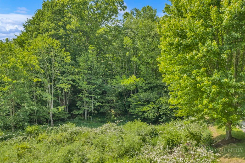 Image number 4 for the current listing