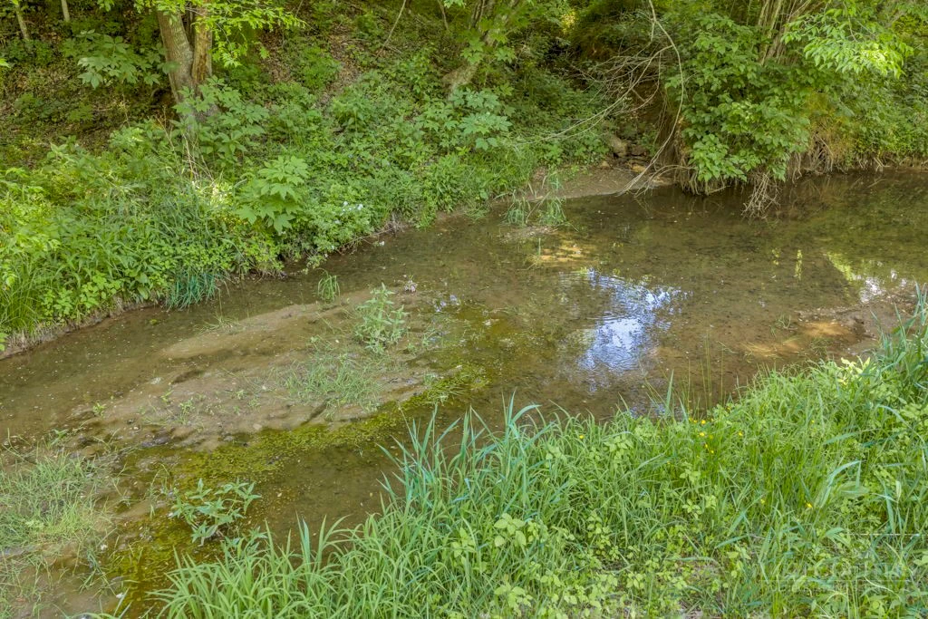 Image number 11 for the current listing