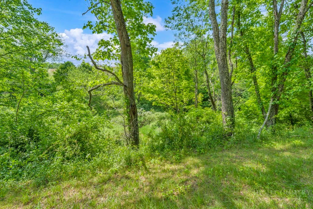 Image number 15 for the current listing