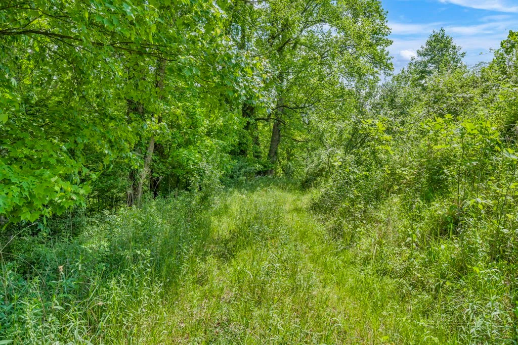 Image number 16 for the current listing