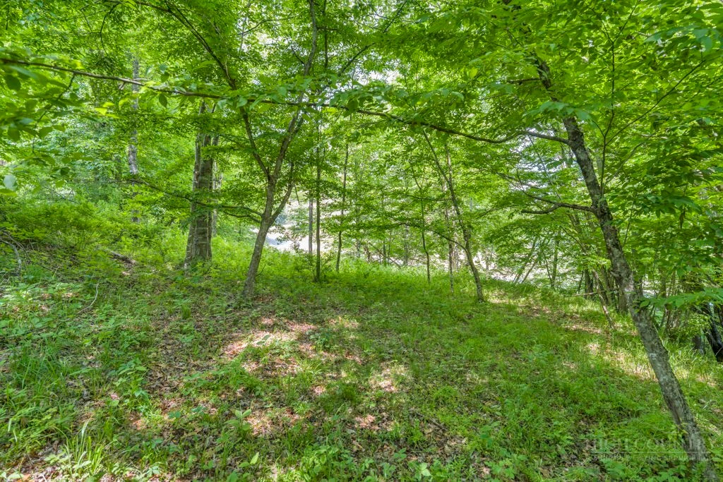Image number 18 for the current listing
