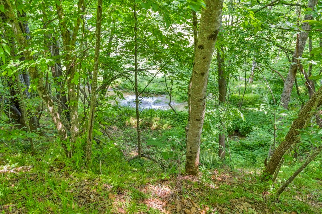 Image number 21 for the current listing
