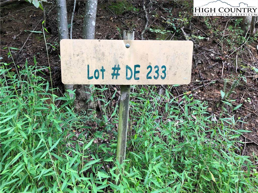 Image number 1 for the current listing