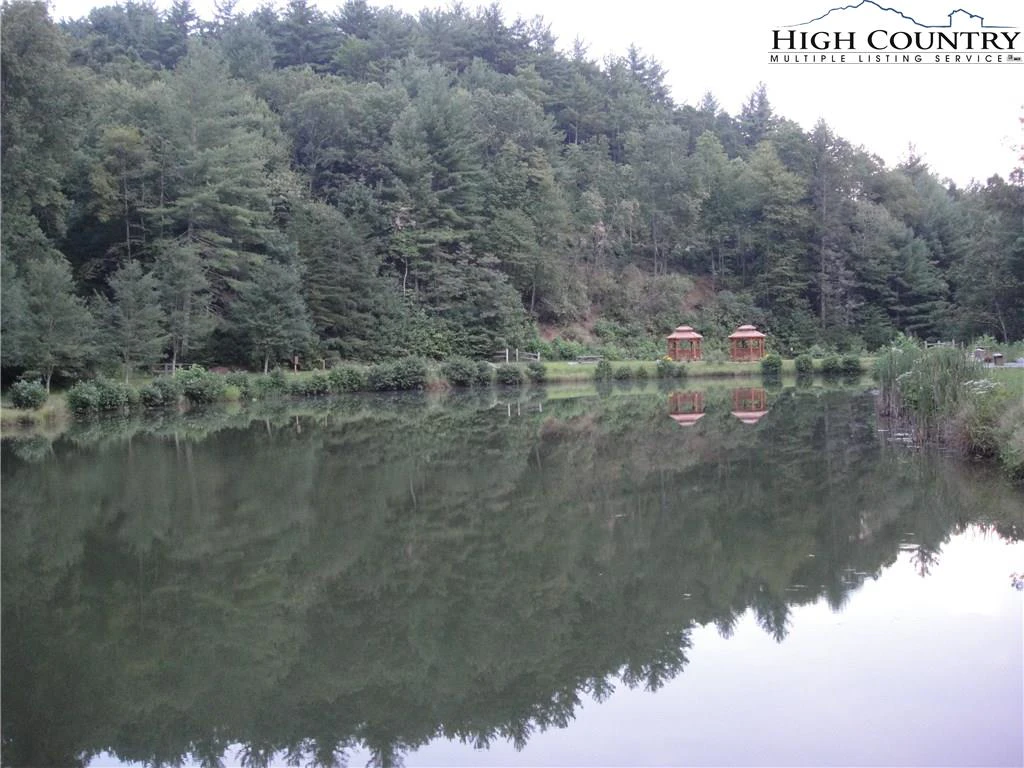 Image number 5 for the current listing
