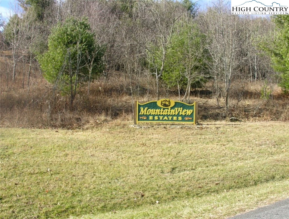 Image number 1 for the current listing