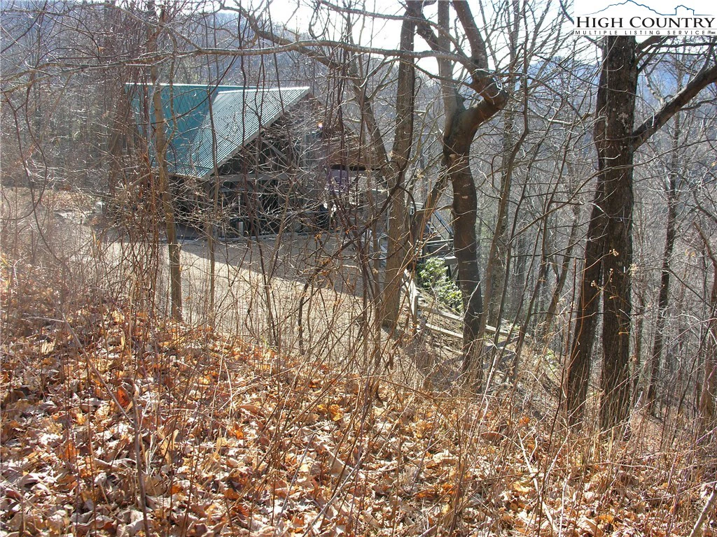 Image number 3 for the current listing
