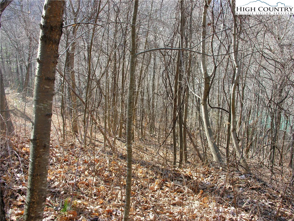 Image number 5 for the current listing