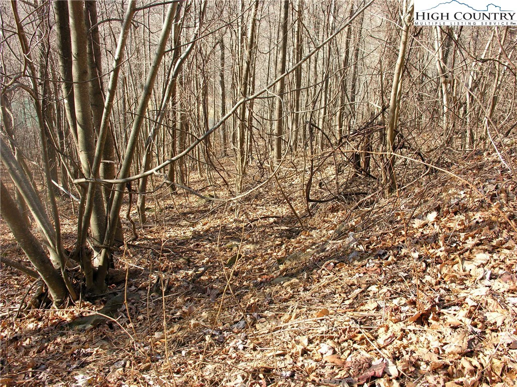Image number 6 for the current listing