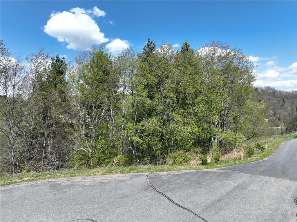 Image number 21 for the current listing