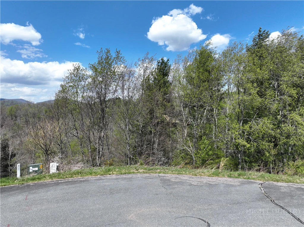 Image number 19 for the current listing