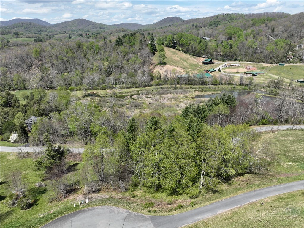 Image number 2 for the current listing
