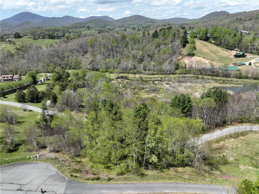 Image number 12 for the current listing