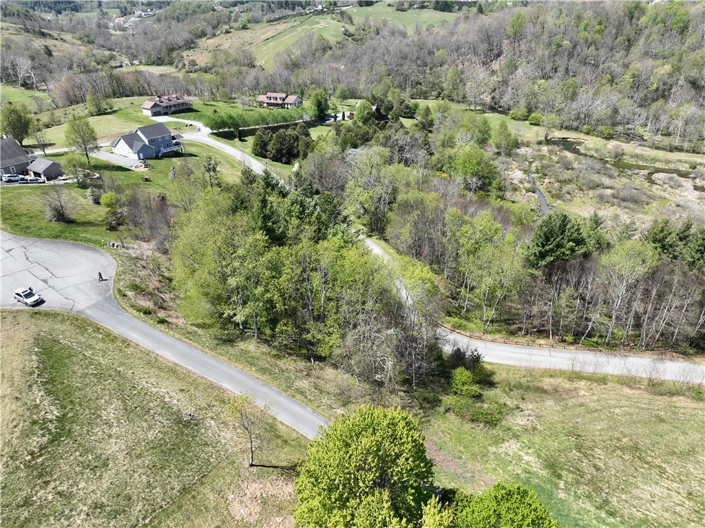 Image number 9 for the current listing