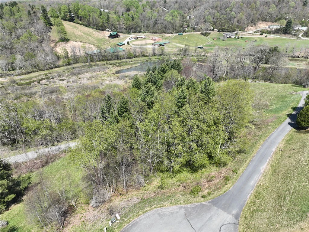 Image number 7 for the current listing