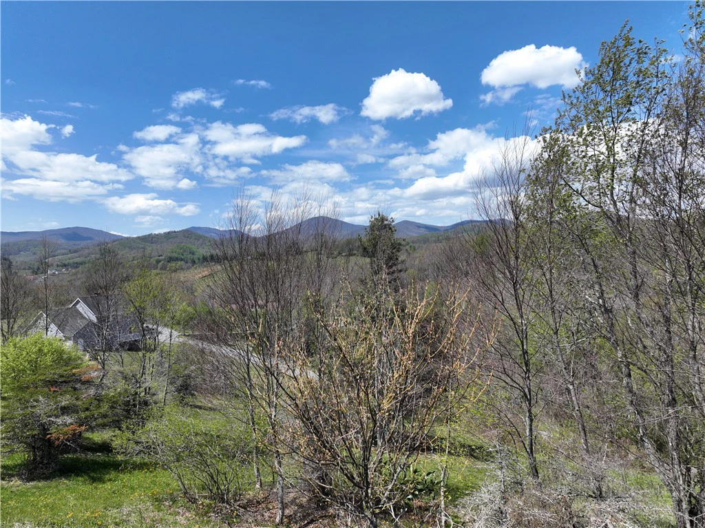 Image number 6 for the current listing
