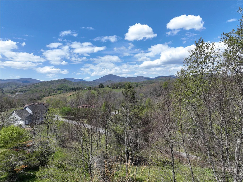 Image number 5 for the current listing