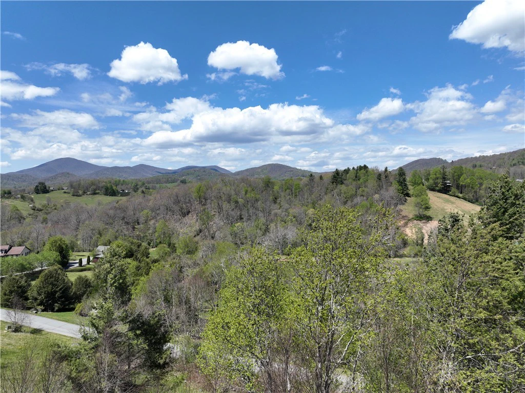 Image number 3 for the current listing