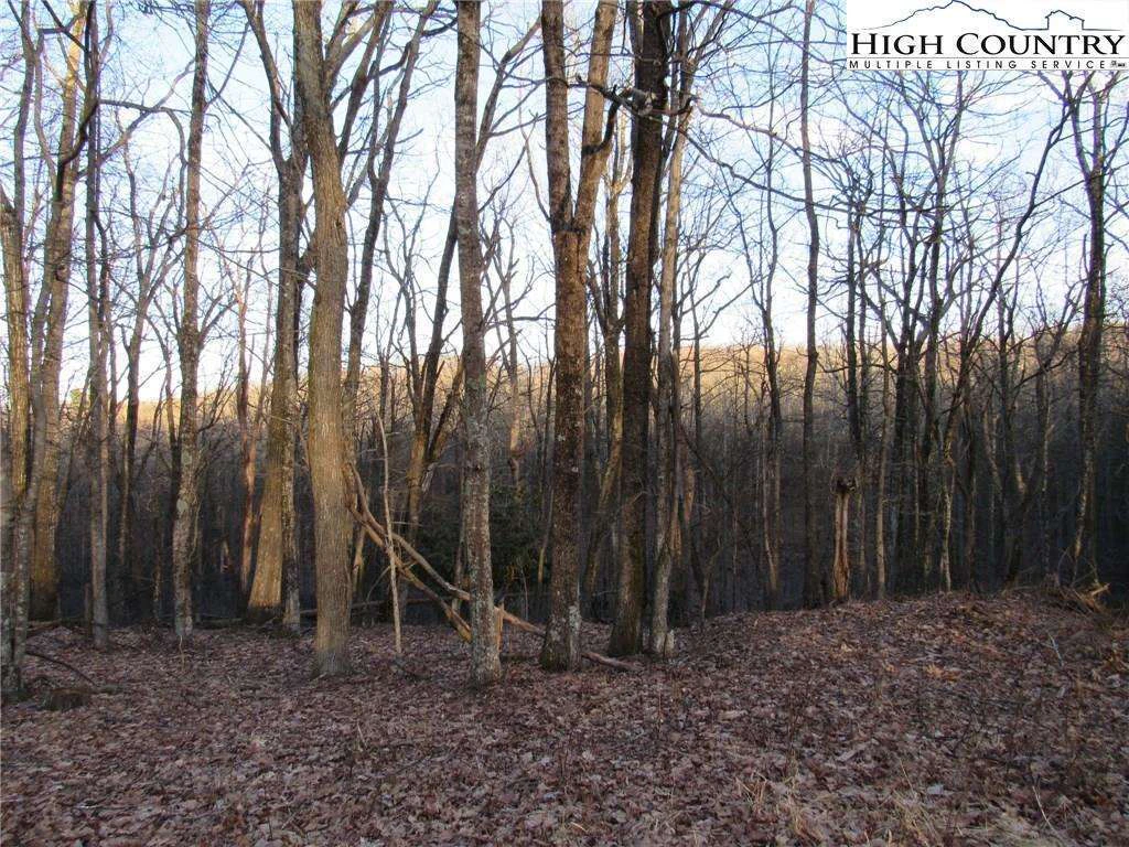Image number 1 for the current listing