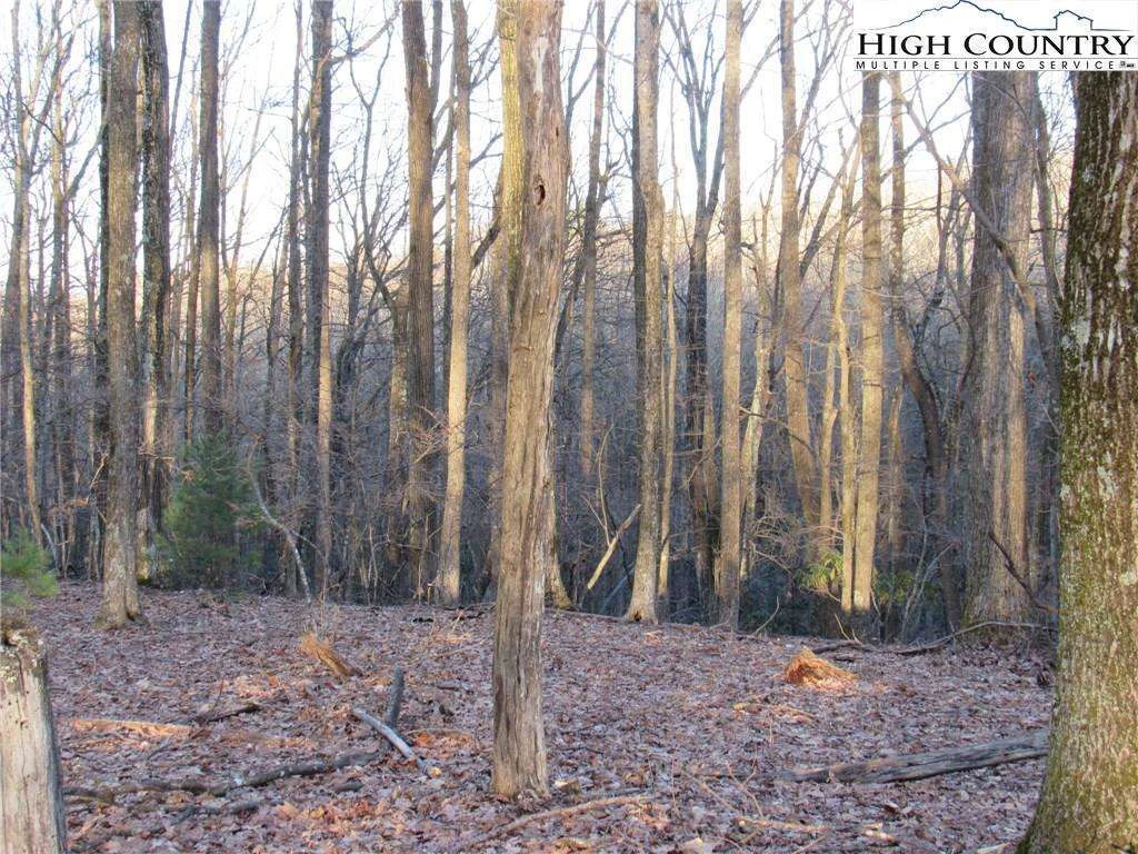 Image number 3 for the current listing