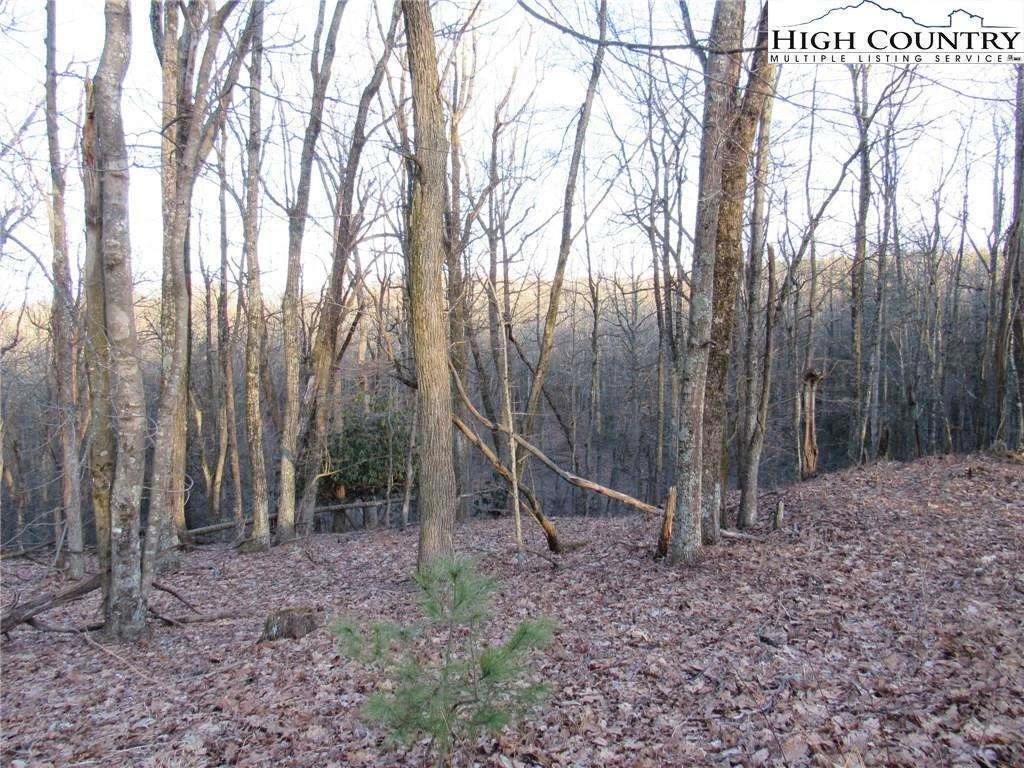 Image number 4 for the current listing