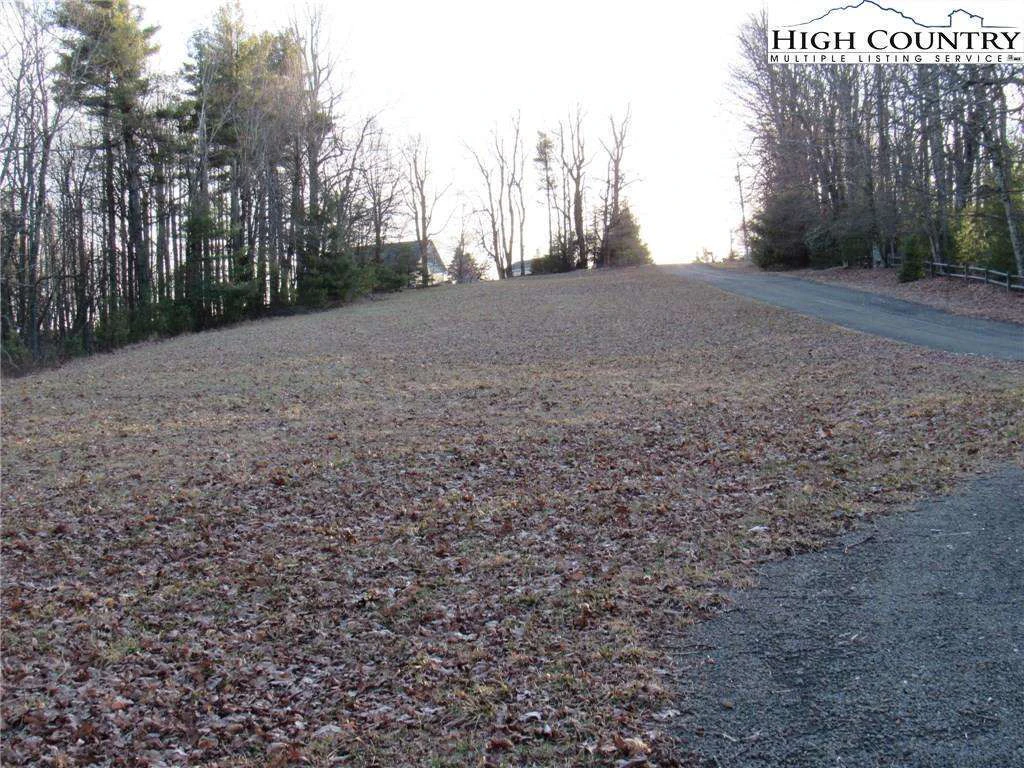 Image number 5 for the current listing