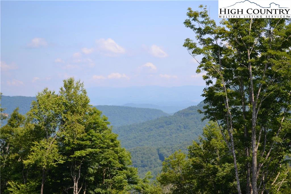 Image number 1 for the current listing