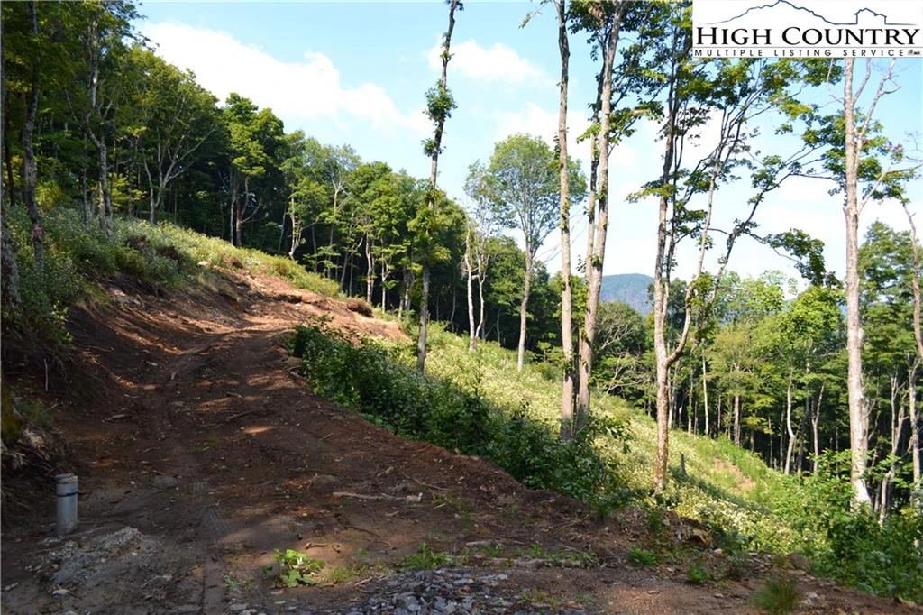 Image number 9 for the current listing