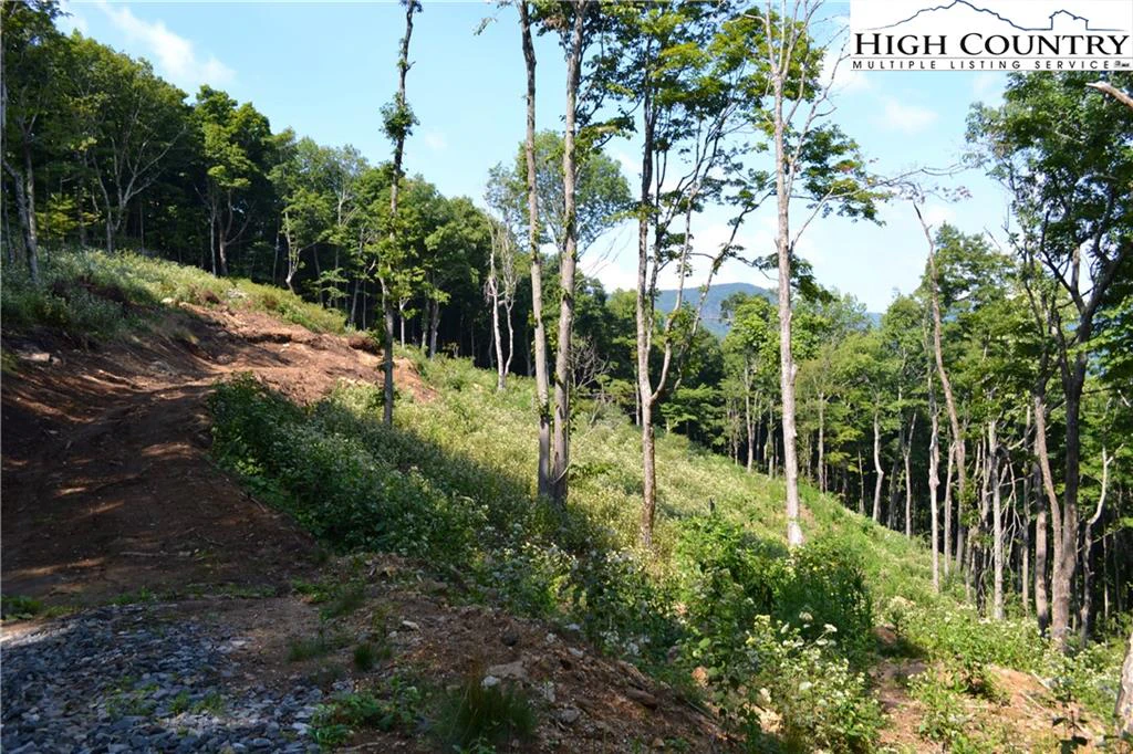Image number 6 for the current listing