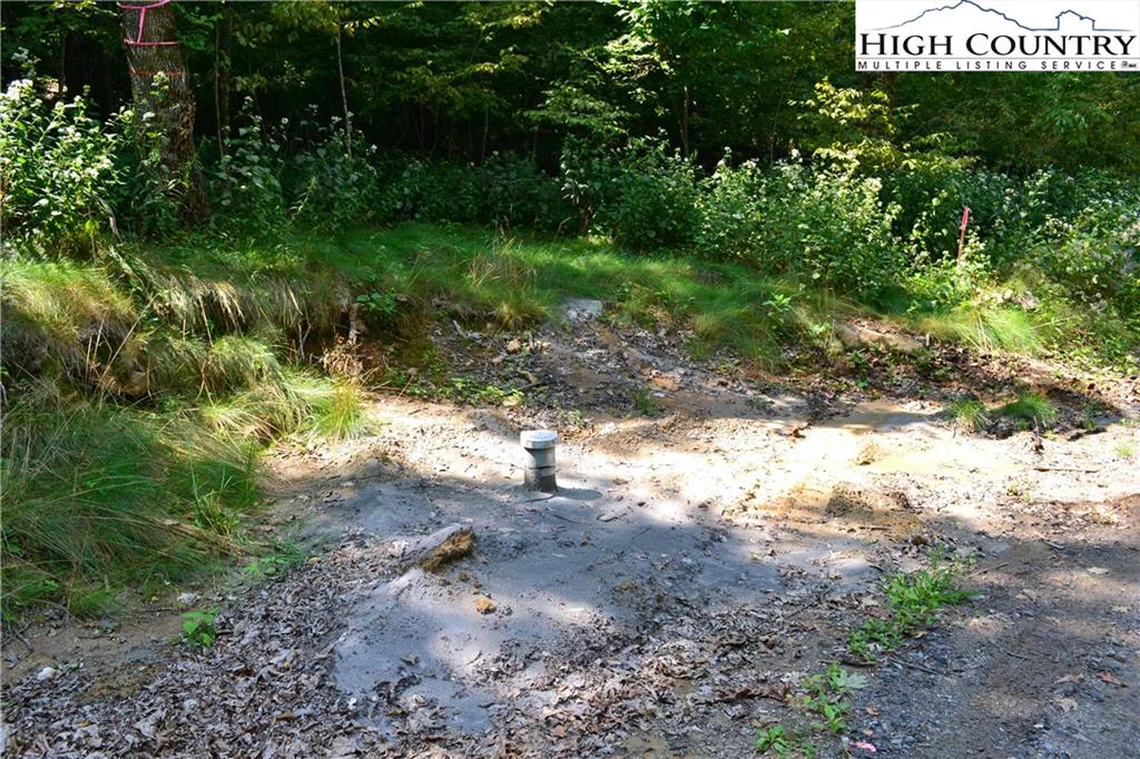 Image number 5 for the current listing