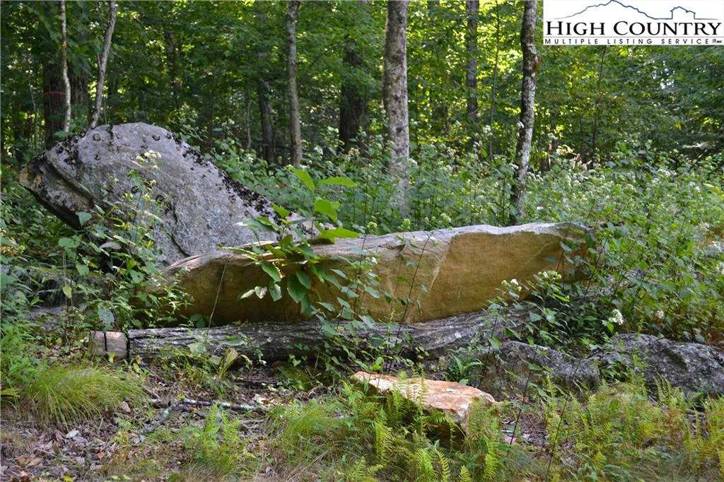 Image number 4 for the current listing