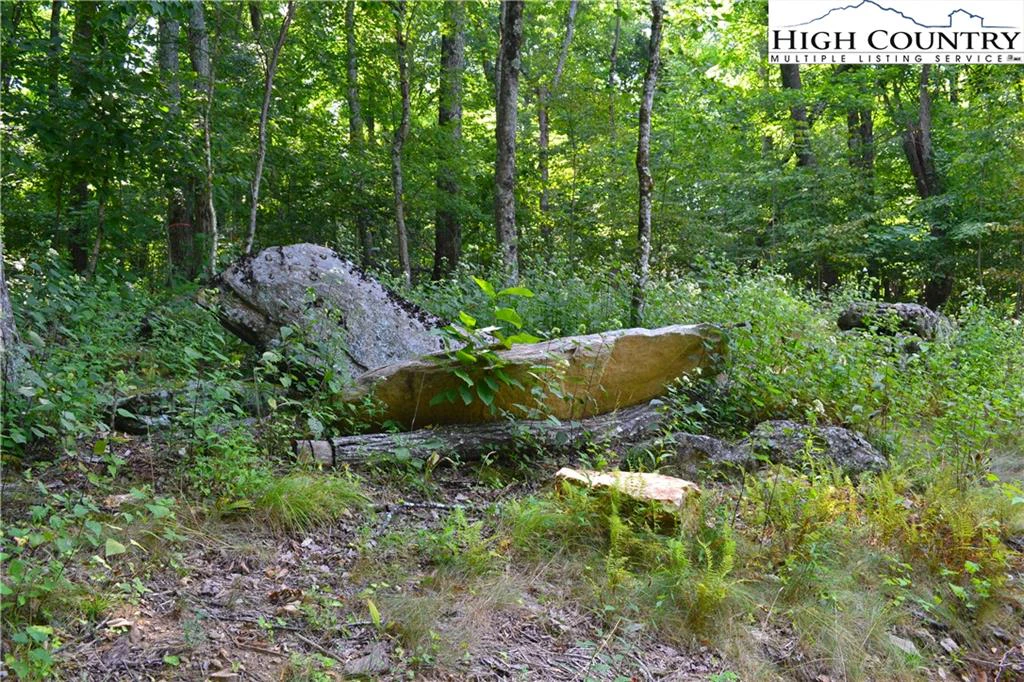 Image number 3 for the current listing