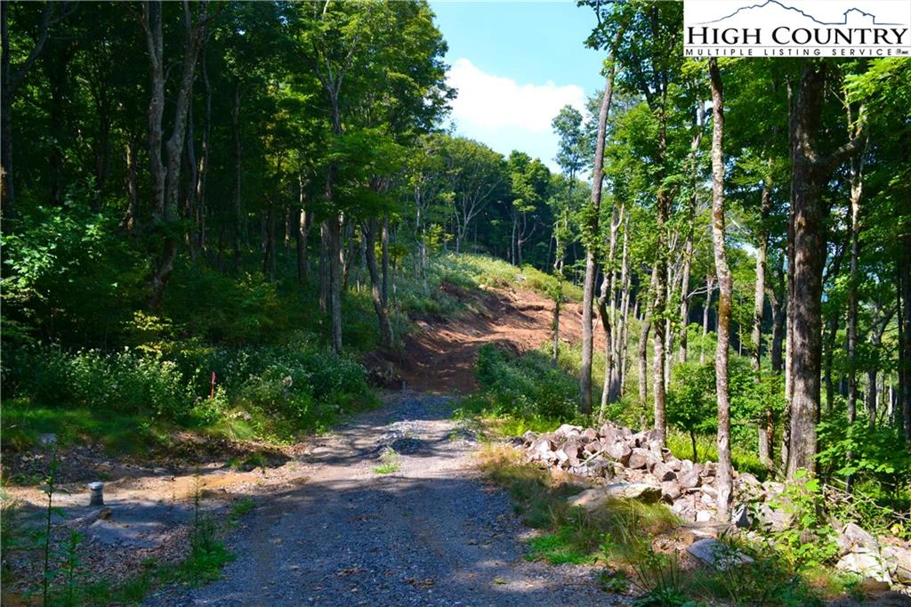 Image number 11 for the current listing