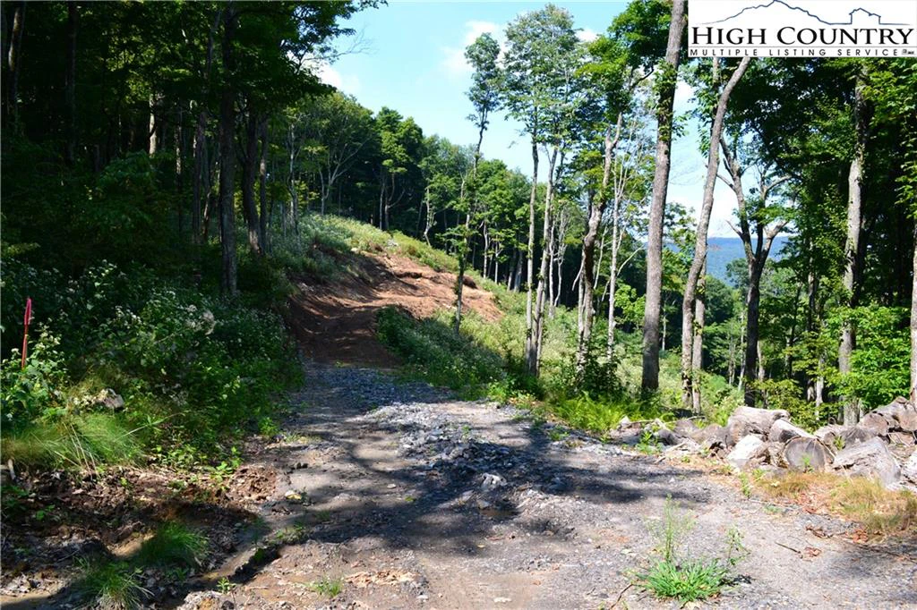 Image number 2 for the current listing