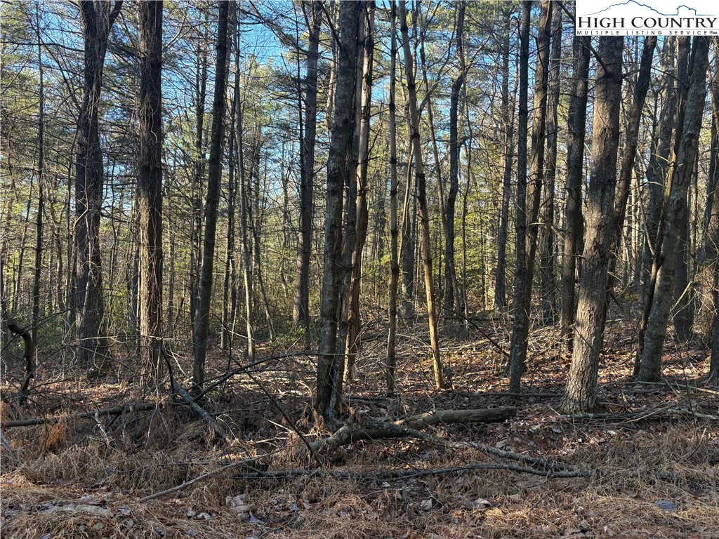 Image number 1 for the current listing