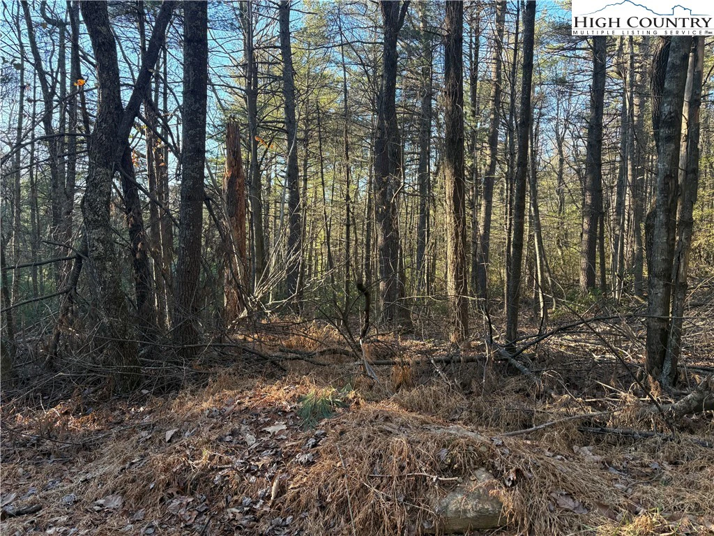 Image number 3 for the current listing