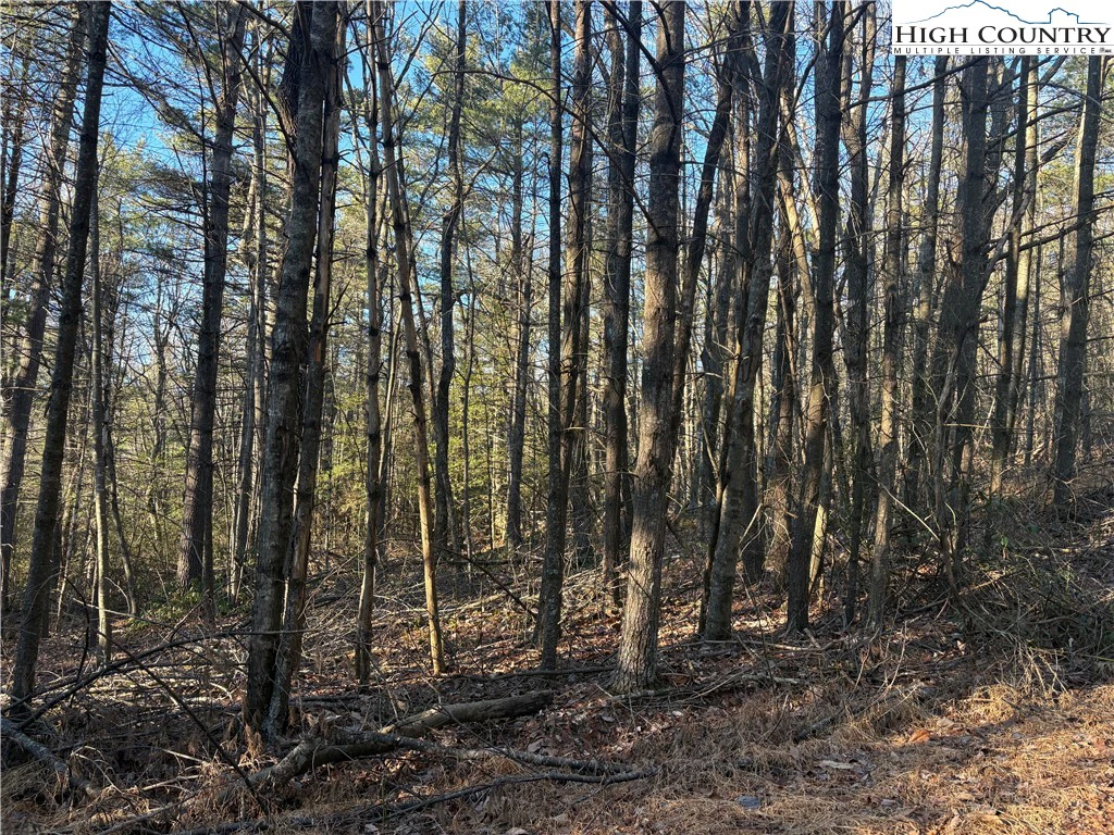 Image number 4 for the current listing