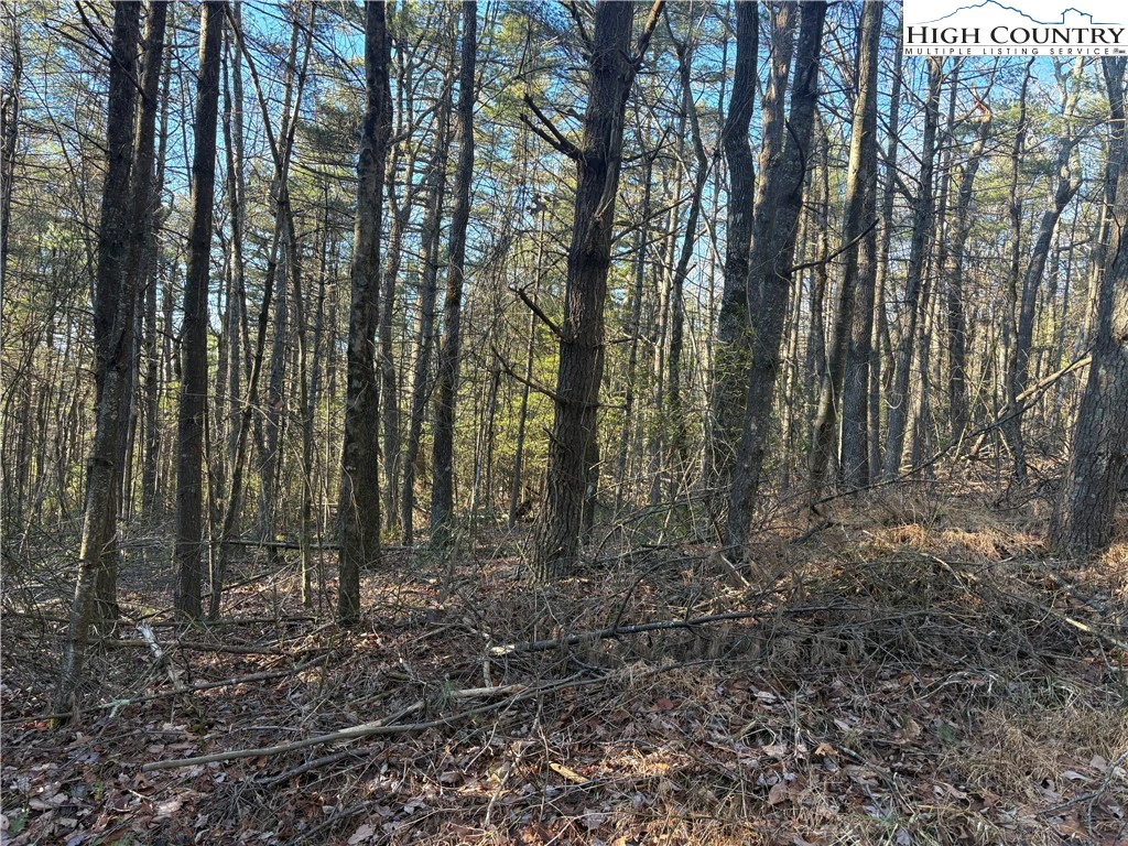 Image number 5 for the current listing