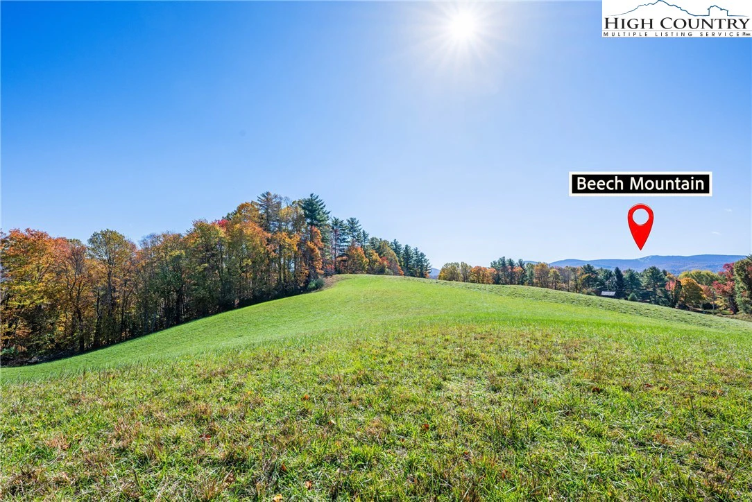 Image number 17 for the current listing