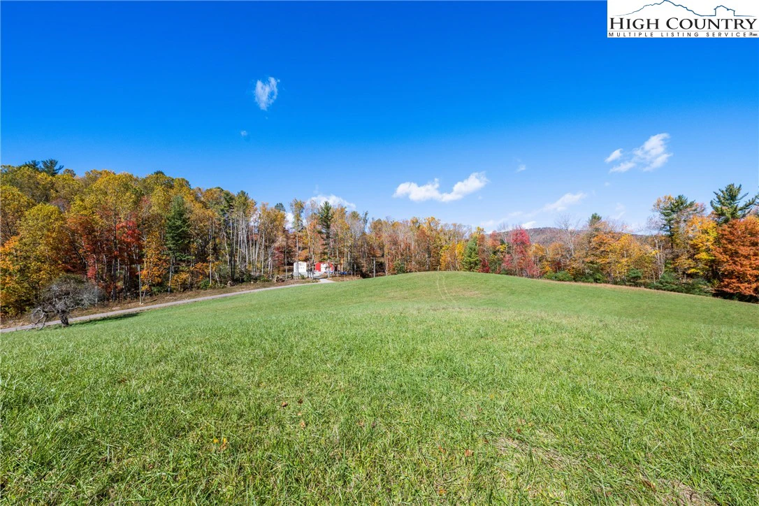 Image number 14 for the current listing