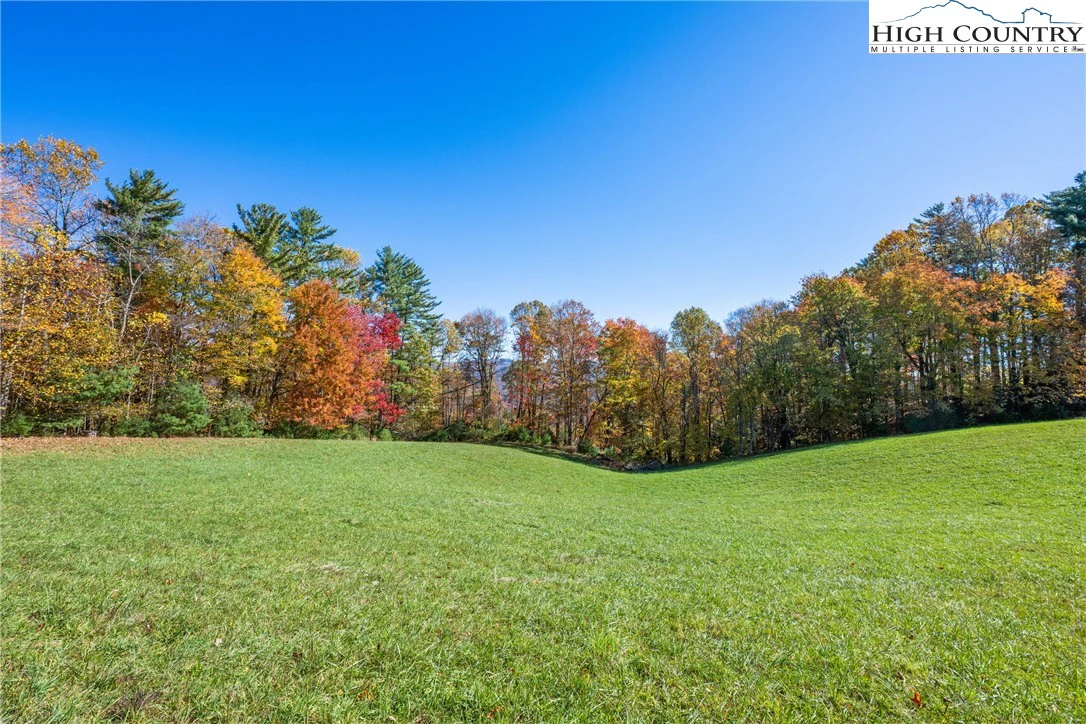 Image number 12 for the current listing