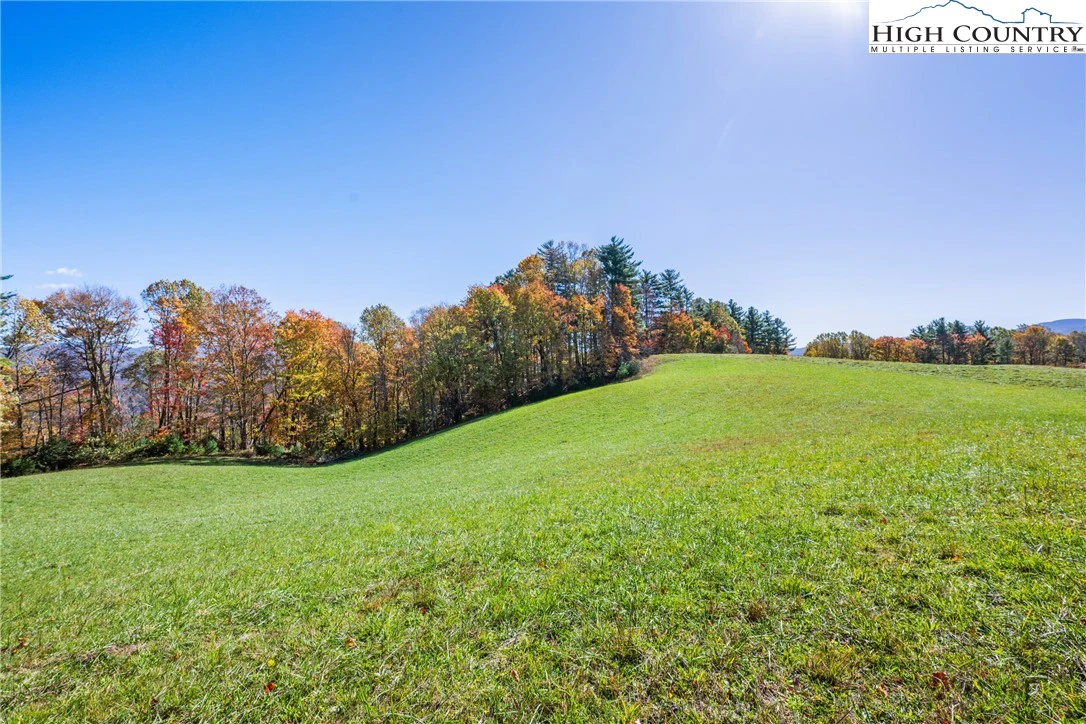 Image number 2 for the current listing