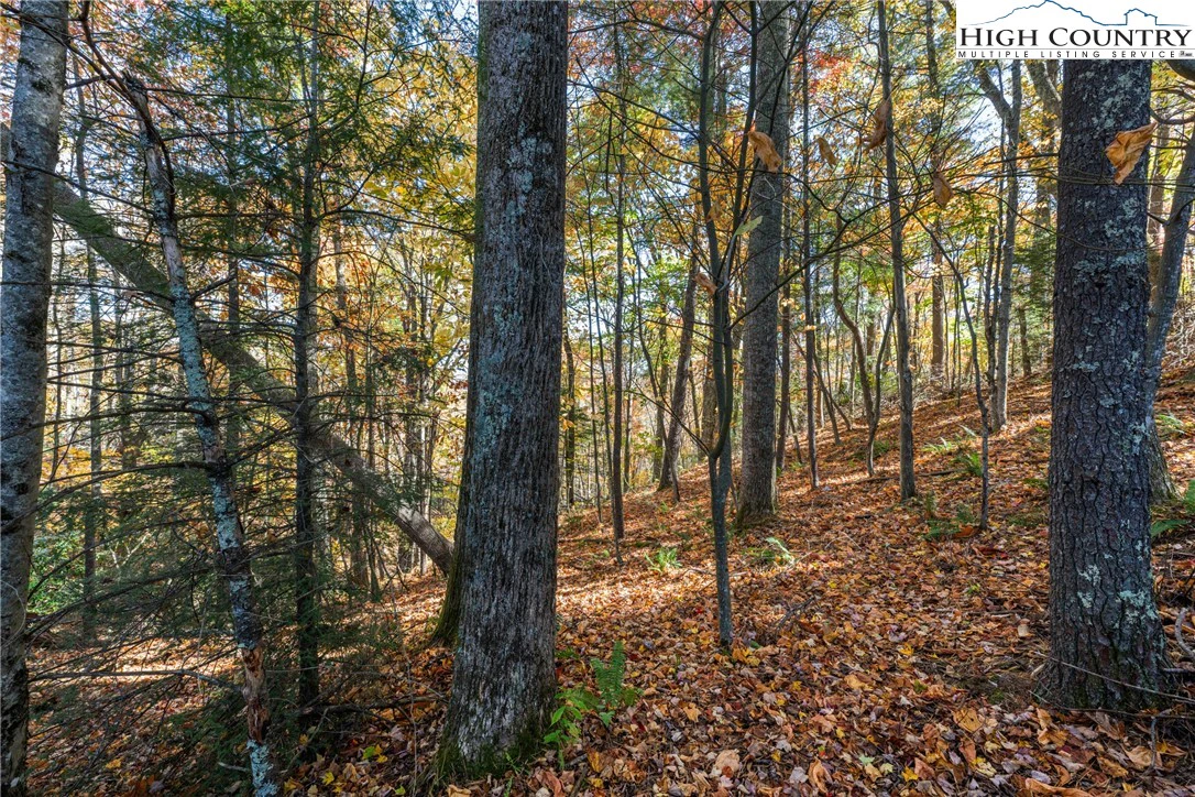Image number 4 for the current listing